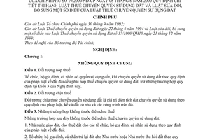 Nghị định 19/2000/NĐ-CP hướng dẫn thi hành Luật Thuế chuyển quyền sử dụng đất và Luật bổ sung Luật Thuế chuyển quyền sử dụng đất