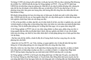 Chỉ thị 14/2000/CT-UB phòng trừ côn trùng hại dừa Bến Tre