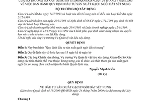 Quyết định 15/2000/QĐ-BXD Quy định đầu tư sản xuất gạch ngói đất sét nung