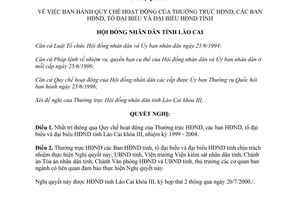 Nghị quyết 02/2000/NQ-HĐND Quy chế hoạt động hội đồng nhân dân đại biểu Lào Cai