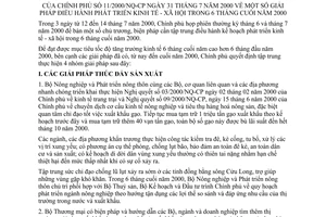 Nghị quyết 11/2000/NQ-CP giải pháp điều hành kế hoạch phát triển kinh tế - xã hội trong 6 tháng cuối năm 2000