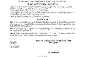 Quyết định 43/2000/QĐ-U quản lý tổ chức, bộ máy, biên chế, tiền lương