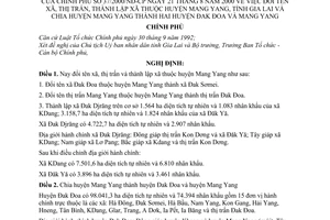 Nghị định 37/2000/NĐ-CP đổi tên xã, thị trấn, lập xã thuộc huyện Mang Yang, tỉnh Gia Lai và chia huyện Mang Yang thành hai huyện Đak Đoa và Mang yang