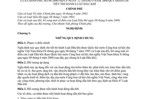 Nghị định 48/2000/NĐ-CP hướng dẫn thi hành Luật Dầu khí