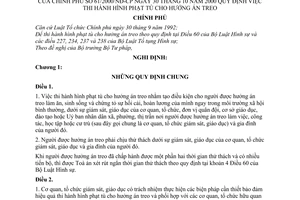 Nghị định 61/2000/NĐ-CP 
thi hành hình phạt tù cho hưởng án treo