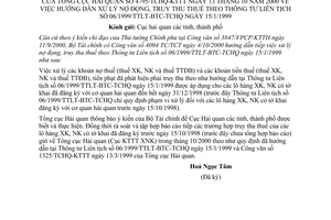 Công văn 4795/TCHQ-KTTT hướng dẫn xử lý nợ đọng, truy thu thuế theo TTLT 06/1999/TTLT-BTC-TCHQ