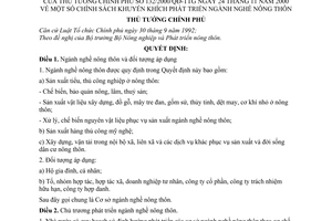 Quyết định 132/2000/QĐ-TTg  chính sách khuyến khích phát triển ngành nghề nông thôn