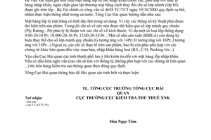 Công văn 5187/TCHQ-KTTT xác định lớp mành lốp ô tô nhập khẩu