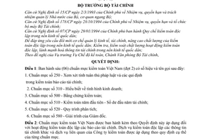 Quyết định 219/2000/QĐ-BTC  sáu (06) chuẩn mực kiểm toán Việt Nam (đợt 2)