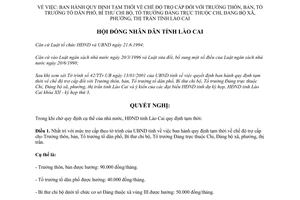 Nghị quyết 16/2001/NQ-HĐND trợ cấp Trưởng thôn bản tổ dân phố Bí thư chi bộ Tổ trưởng Đảng Lào Cai