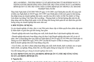 Thông tư 06/2001/TT-BLĐTBXH hướng dẫn tính tốc độ tăng năng suất lao động bình quân và tốc độ tăng tiền lương bình quân trong doanh nghiệp nhà nước