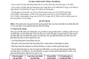 Quyết định 08/2001/QĐ-UB ban hành nguyên tắc khi chỉ định thầu các gói thầu về xây lắp Lâm Đồng