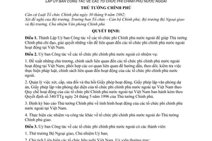 Quyết định 59/2001/QĐ-TTg thành lập Uỷ ban Công tác các tổ chức phi chính phủ nước ngoài