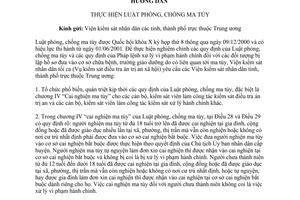 Hướng dẫn 1160/VKSTC-KSDTTA thực hiện Luật phòng, chống ma túy