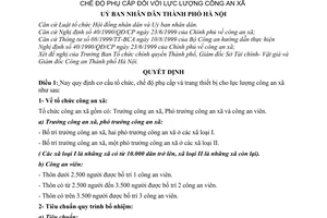 Quyết định 27/2001/QĐ-UB cơ cấu tổ chức chế độ phụ cấp  lực lượng công an xã