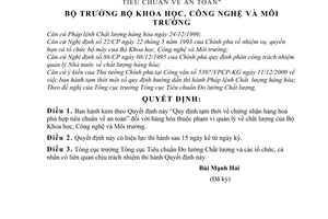 Quyết định 13/2001/QĐ-BKHCNMT chứng nhận hàng hoá phù hợp tiêu chuẩn an toàn