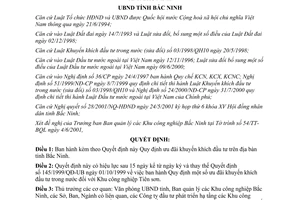 Quyết định 60/2001/QĐ-UB Quy định ưu đãi khuyến khích đầu tư Bắc Ninh