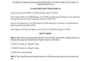 Quyết định 58/2001/QĐ-UB chính sách khuyến khích đầu tư phát triển nuôi tôm cá trong ruộng lúa Nghệ An