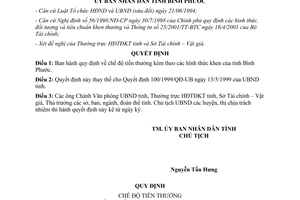 Quyết định 53/2001/QĐ-UB Quy định chế độ tiền thưởng kèm các hình thức khen Bình Phước