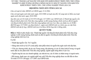 Nghị quyết 21/2001/NQ-HĐND nguồn vốn khuyến khích phát triển Tiểu thủ công