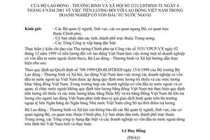 Công văn 2321/LĐTBXH-TL tiền lương lao động Việt Nam trong doanh nghiệp có vốn đầu tư nước ngoài