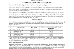 Quyết định 1381/QĐ-UB năm 2001 cước vận chuyển cây nhãn giống thực sinh Tuyên Quang