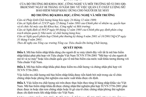 Quyết định 52/2001/QĐ-BKHCNMT quản lý chất lượng mũ bảo hiểm nhập khẩu dùng cho người đi xe máy