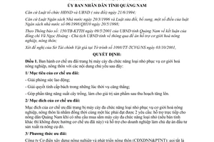 Quyết định 48/2001/QĐ-UB máy cày đa chức năng loại nhỏ phục vụ cơ giới hoá nông nghiệp Quảng Nam