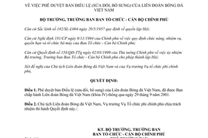 Quyết định 72/2001/QĐ-BTCCBCP phê duyệt Điều lệ của Liên đoàn Bóng đá Việt Nam