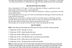 Quyết định 143/2001/QĐ-BTC sáu chuẩn mực kiểm toán Việt Nam (đợt 3) 240 300 400 530 540 610