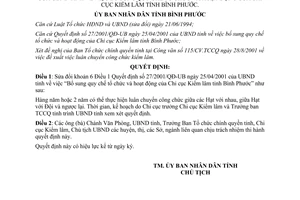 Quyết định 97/2001/QĐ-UB sửa đổi quy chế tổ chức Chi cục Kiểm lâm Bình Phước