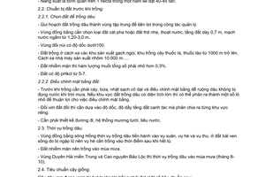 Tiêu chuẩn ngành 10 TCN 449:2001 về Quy trình kỹ thuật trồng, chăm sóc và thu hoạch cây dâu lai F1 trồng bằng hạt do Bộ Nông nghiệp và Phát triển nông thôn ban hành