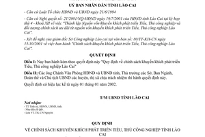 Quyết định 381/2001/QĐ.UB chính sách khuyến khích phát triển Tiểu thủ công