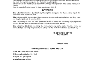 Quyết định 23/2003/QĐ-BYT chương trình khung giáo dục trung học chuyên nghiệp ngành hộ sinh