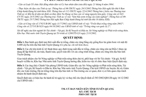 Quyết định 04/2003/QĐ-UB đầu tư trồng chăm sóc rừng cây giống Keo lai giâm hom Tuyên Quang