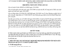 Nghị quyết 02/2003/NQ-HĐND hỗ trợ kinh phí đối với nhân dân tham gia quản lý bảo vệ biên giới Lào Cai
