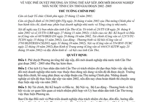 Quyêt định 60/QĐ-TTg  Phương án  sắp xếp, đổi mới doanh nghiệp nhà nước tỉnh Cần Thơ giai đoạn 2002 - 2005