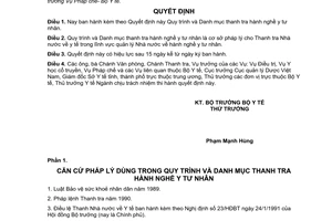 Quyết định 181/2003/QĐ-BYT quy trình danh mục thanh tra hành nghề y tư nhân