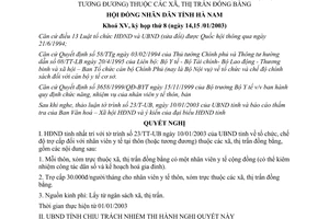 Nghị quyết 36/2003/NQ-HĐND trợ cấp nhân viên y tế thôn Hà Nam