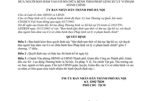 Quyết định 14/2003/QĐ-UB thủ tục lập hồ sơ, xét duyệt đưa người bán dâm vào cơ sở chữa bệnh theo Pháp lệnh xử lý vi phạm hành chính