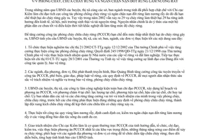 Chỉ thị 04/2003/CT-UB phòng cháy chữa cháy rừng ngăn chặn nạn đốt rừng làm nương rẫy Quảng Bình