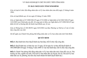 Quyết định 173/2003/QĐ-UB Quy chế tổ chức tiếp công dân Ninh Bình