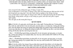Quyết định 22/2003/QĐ-TTg chế độ đối với cán bộ chiến sĩ công an trực tiếp quản lý giáo dục chăm sóc khám chữa bệnh đấu tranh với đối tượng nhiễm HIV