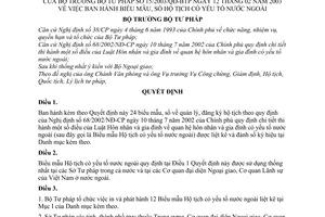 Quyết định 15/2003/QĐ-BTP  biểu mẫu, sổ hộ tịch có yếu tố nước ngoài