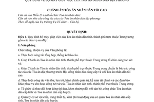 Quyết định 17/2003/TCCB bộ máy giúp việc Tòa án nhân dân địa phương