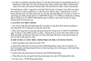 Thông tư 05/2003/TT-BLĐTBXH hướng dẫn điều chỉnh mức trợ cấp, phụ cấp hàng tháng người có công với cách mạng