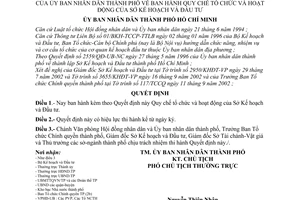 Quyết định 17/2003/QĐ-UB Quy chế tổ chức hoạt động Sở kế hoạch và đầu tư