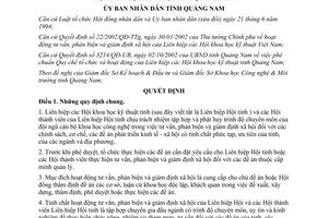 Quyết định 15/2003/QĐ-UB phản biện giám định xã hội Liên hiệp Hội khoa học kỹ thuật Quảng Nam