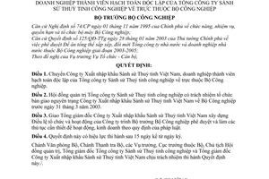 Quyết định 09/2003/QĐ-BCN chuyển Công ty Xuất nhập khẩu Sành sứ Thuỷ tinh Việt Nam về Bộ Công nghiệp