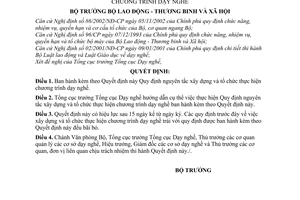 Quyết định 212/2003/QĐ-BLĐTBXH nguyên tắc xây dựng tổ chức thực hiện chương trình dạy nghề